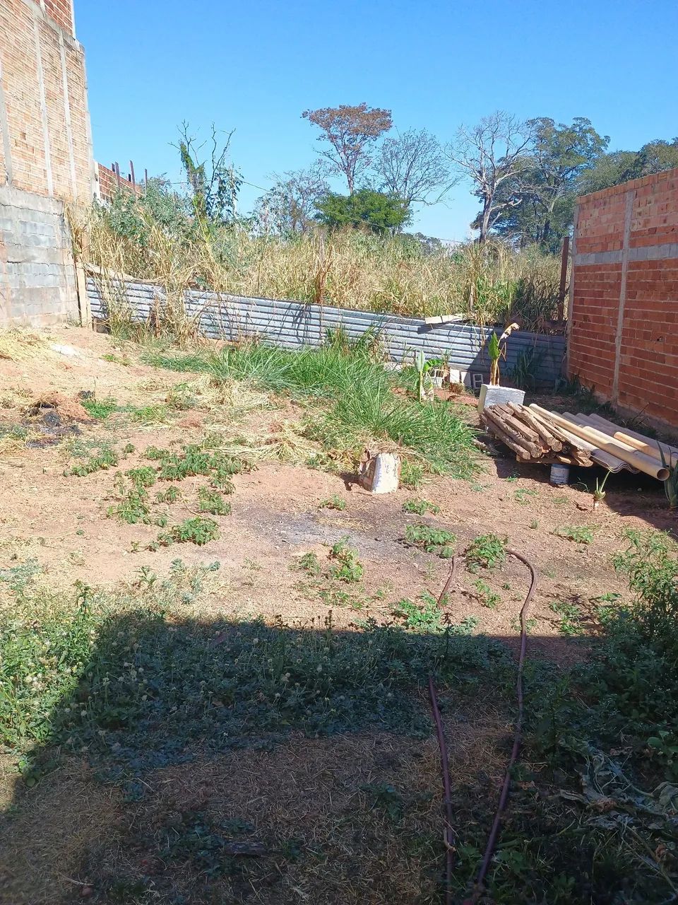 Lote com barracão 