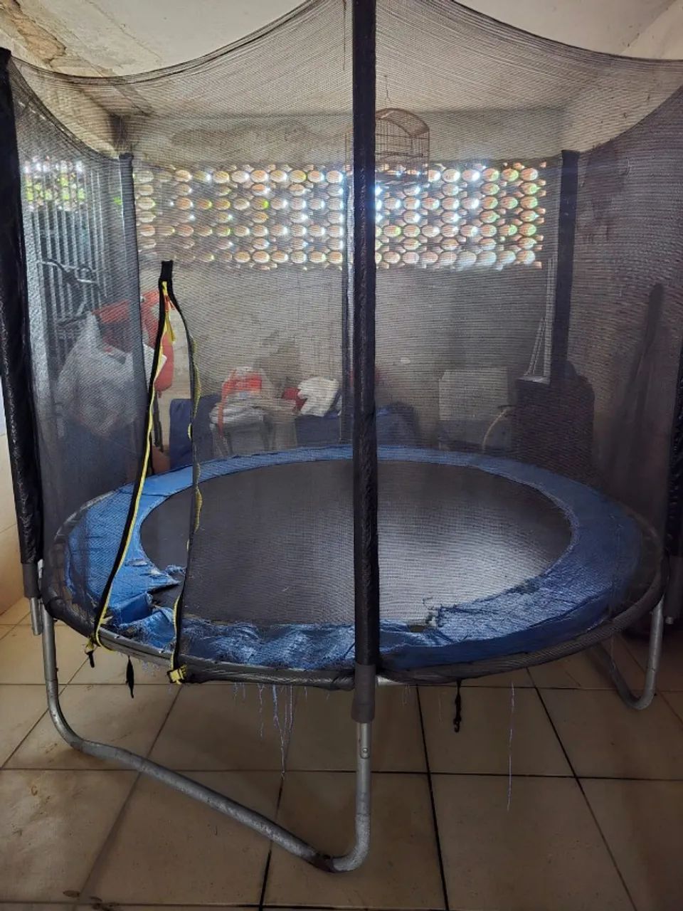 Pula pula