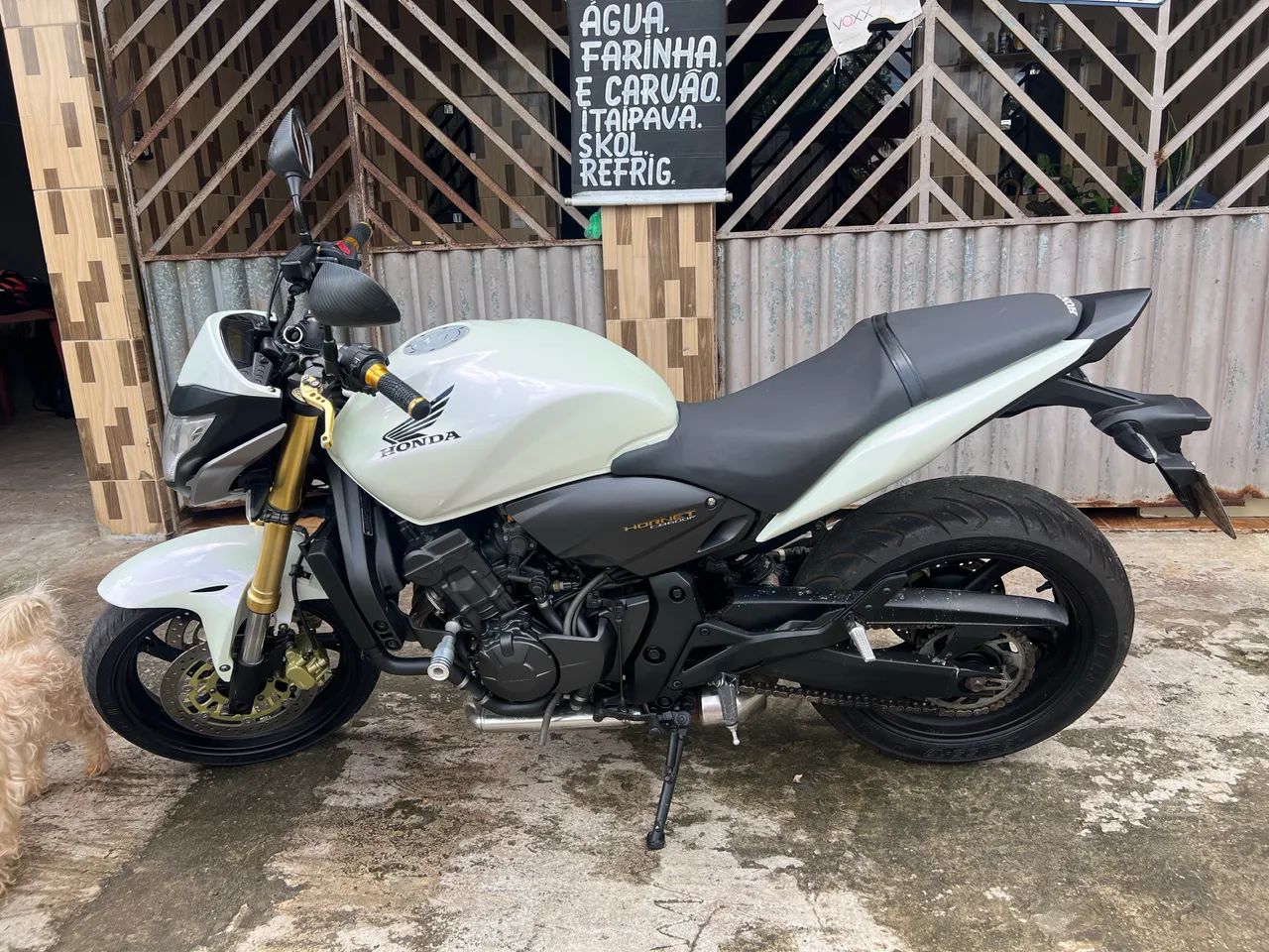 Hornet 600cc 2014