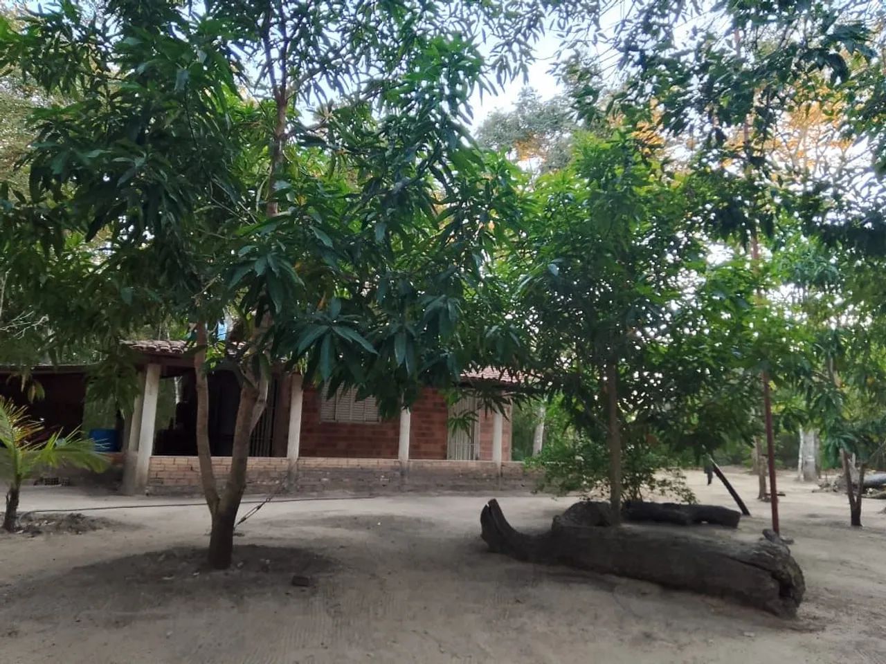 Chácara na beira do rio Tocantins 