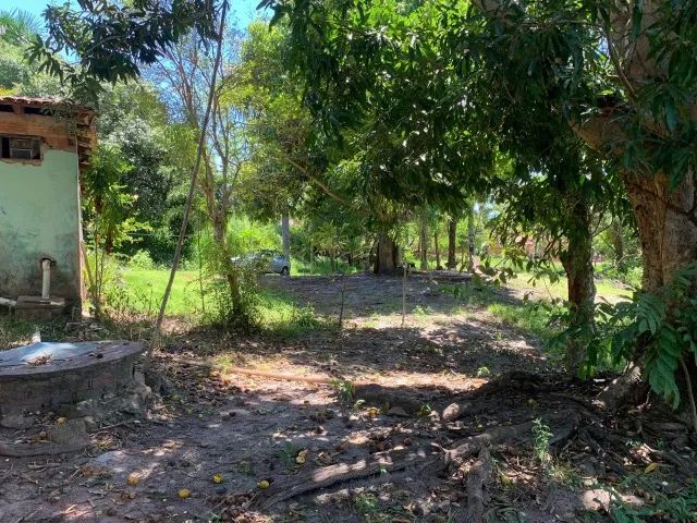 Chácara em Ponte Alta do Tocantins  - Foto 5