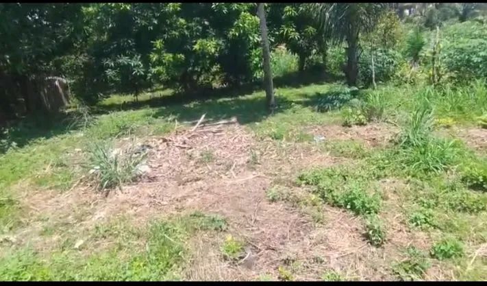 Vendo este terreno grande  - Foto 4