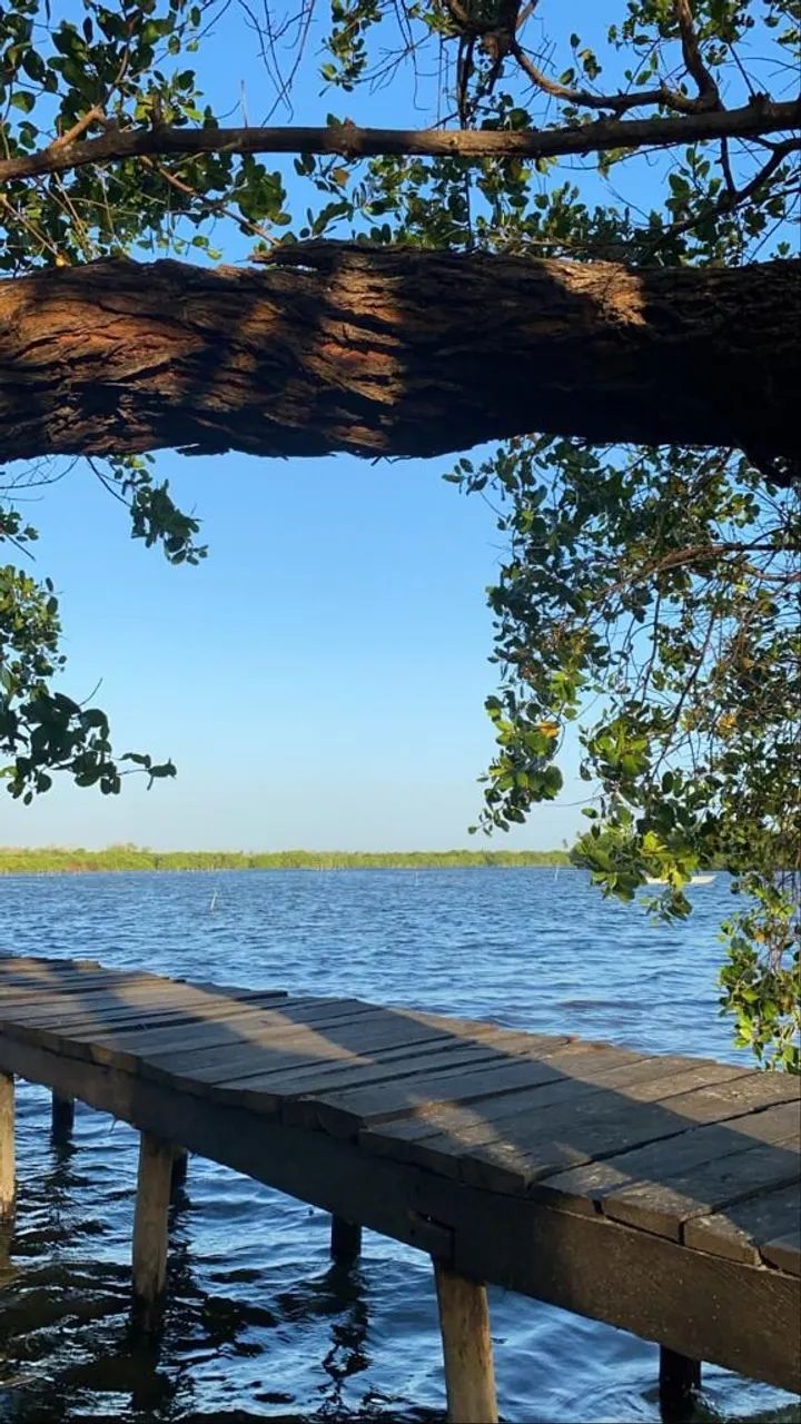 Terreno/Marechal Deodoro - Foto 5