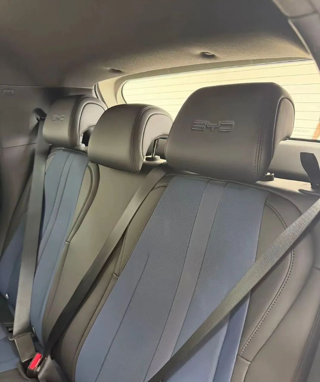 BYD Dolphin Mini (Elétrico) 2026 - Foto 4