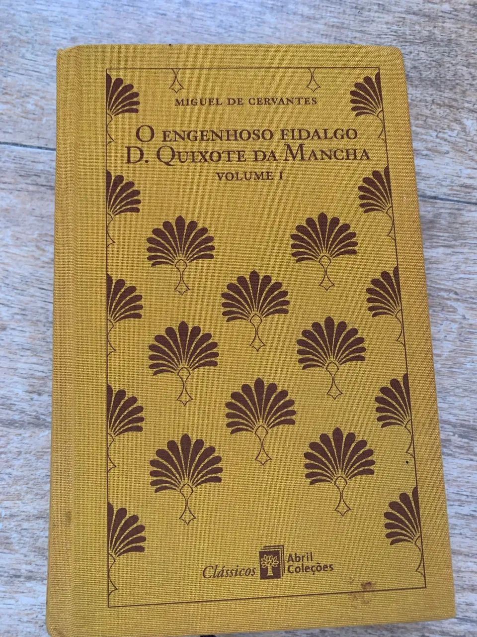 Dom Quixote 