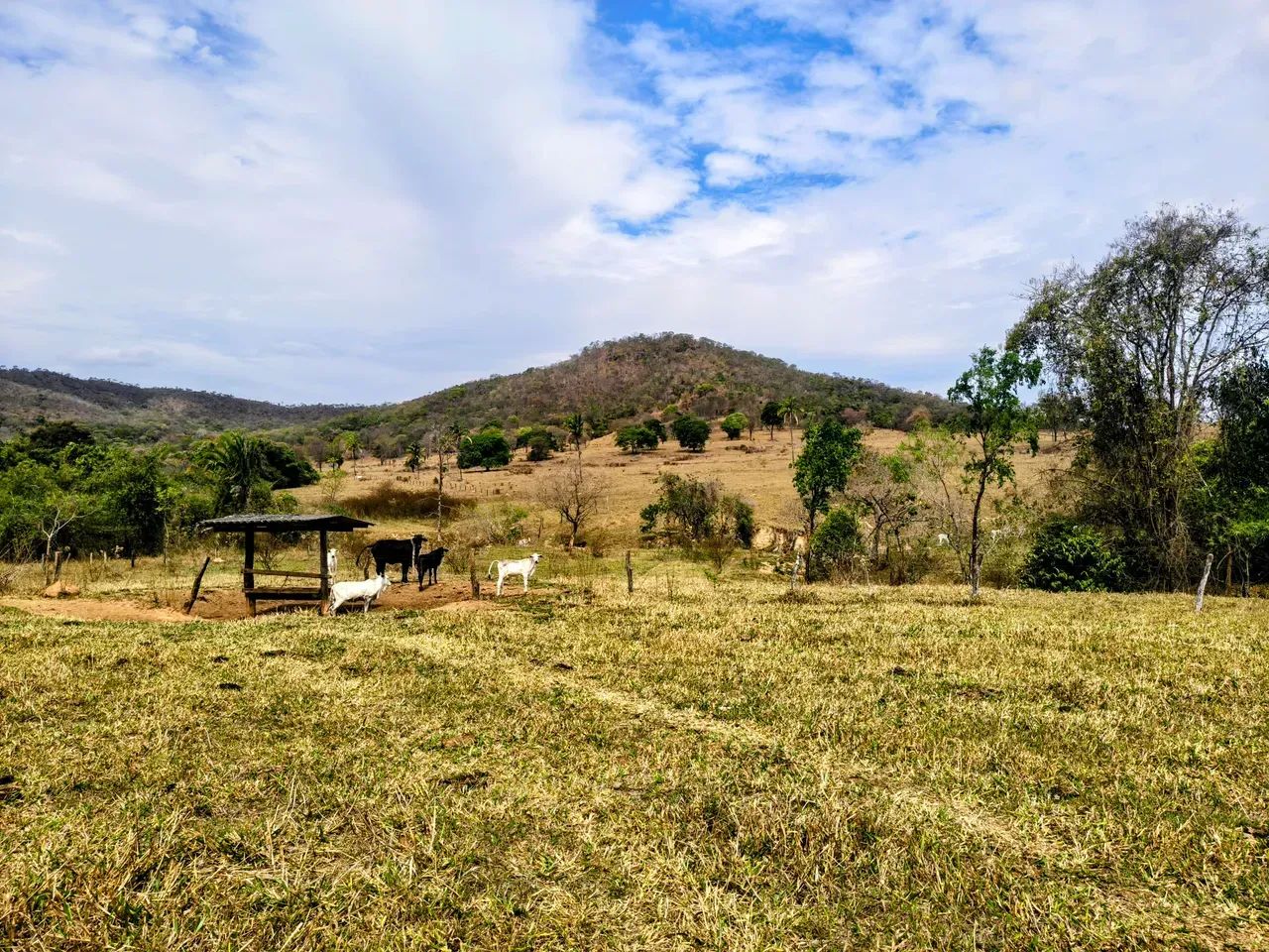Fazenda Dupla Aptidão - 180 Alqueires! - Foto 3