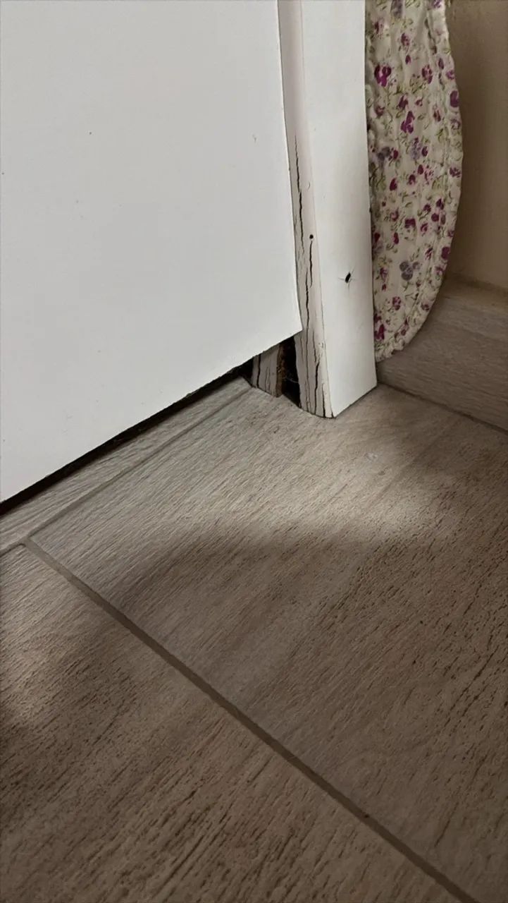 Doação  - Foto 2