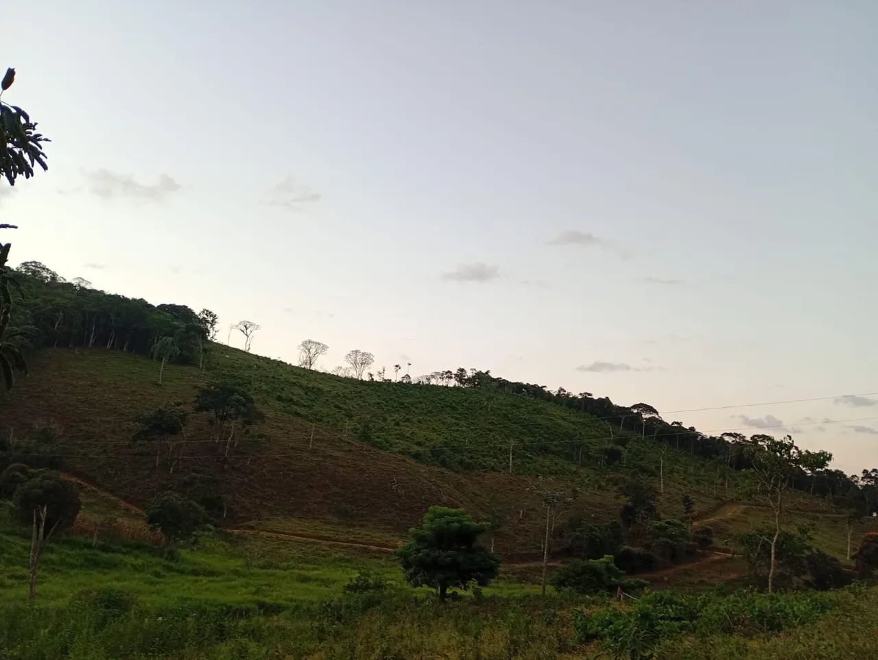Terreno com pastagem  - Foto 2