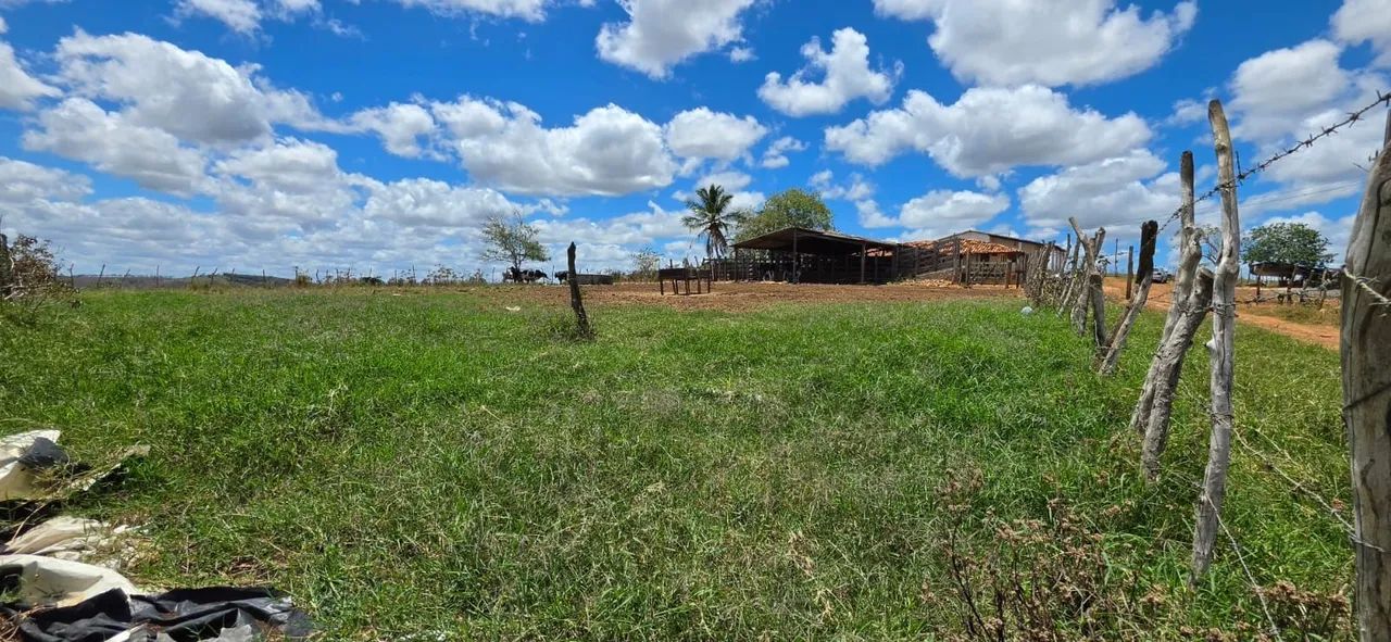 FAZENDA EM SÃO MIGUEL DO ALEIXO - Foto 3