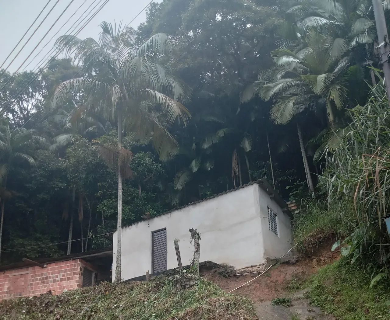 Foto - Rio Claro - 