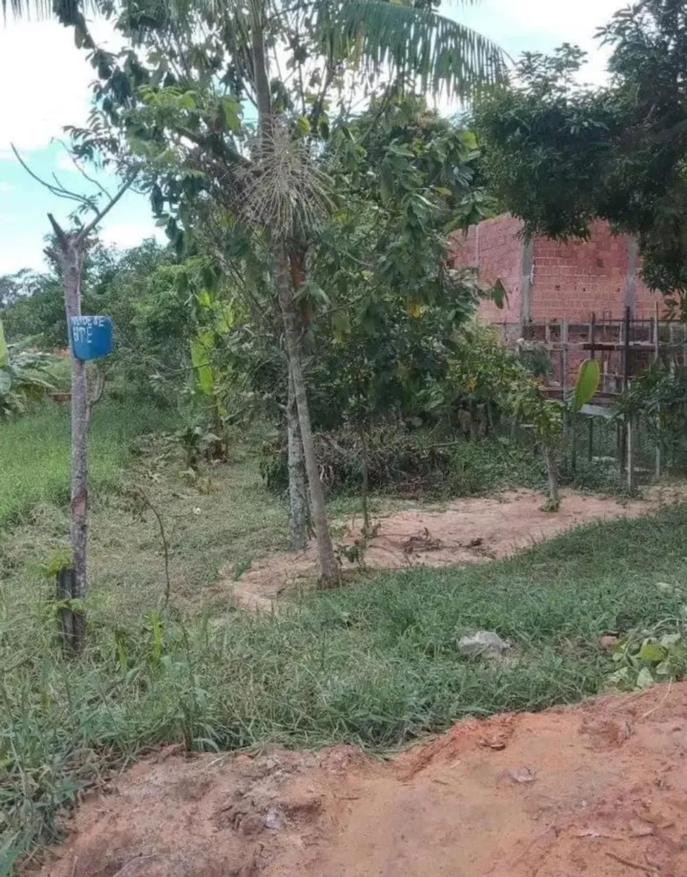 Terreno  - Foto 5