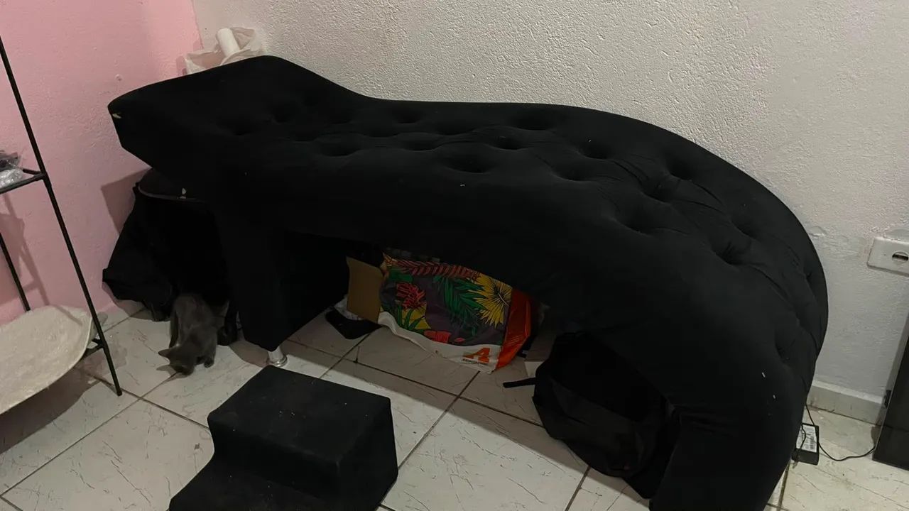 MACA DE LUXO PARA LASH - Foto 5