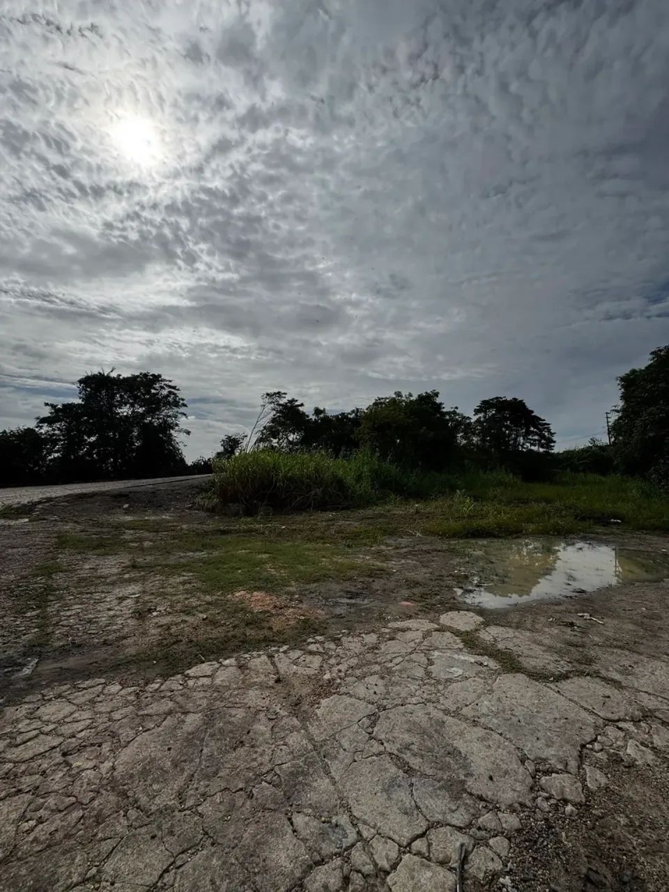 Galpão com 600 m2, Col. Antonio Aleixo - Foto 3
