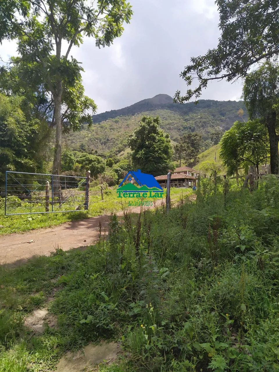 Fazenda à venda em Carvalhos, MG - Foto 4