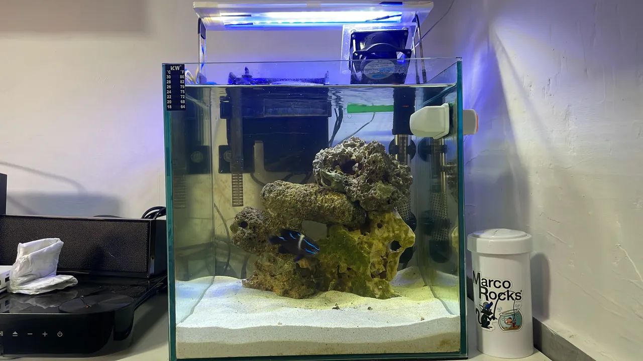 Aquário cubo água salgada  - Foto 6