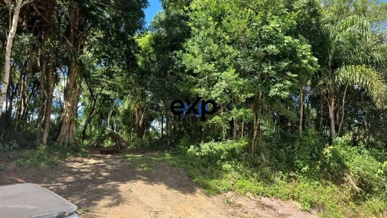CHÁCARA LEÃO AGUDOS DO SUL PR - Foto 3