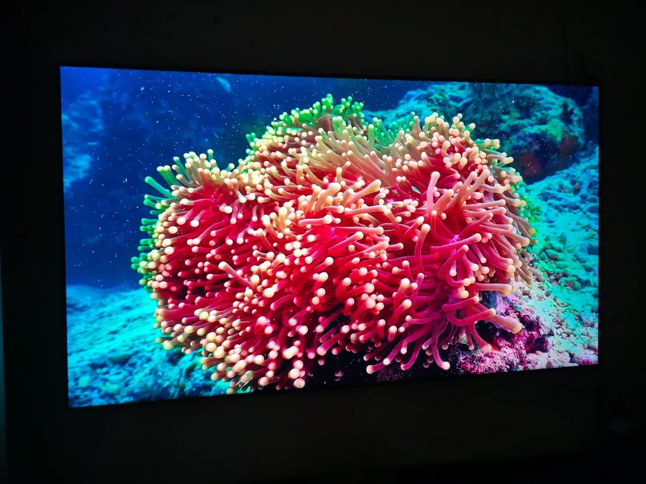 SmarTV Qled