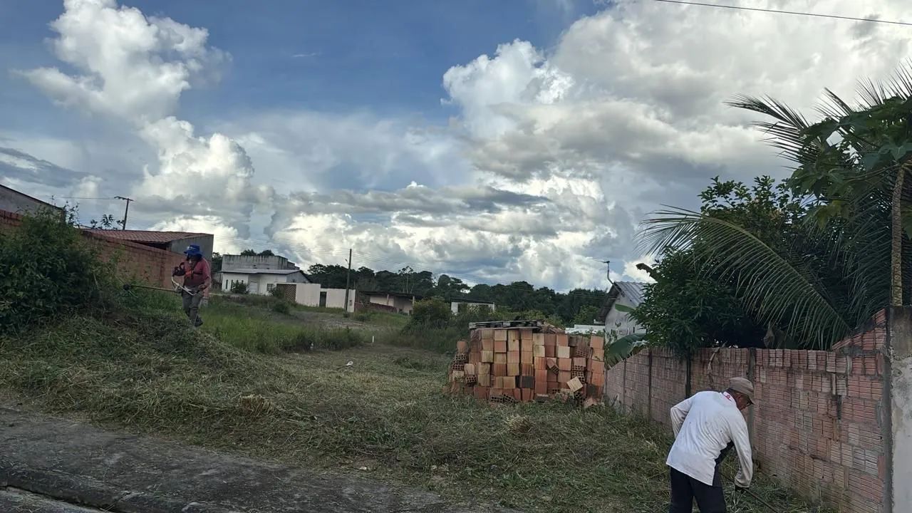 Serviços de roçagem,fazemos o seu orçamento 