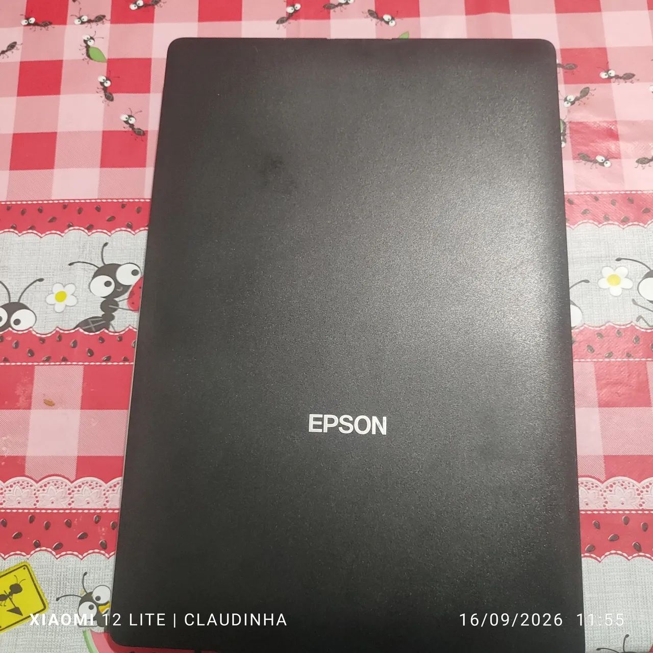 Scanner Epson Perfection V19 
