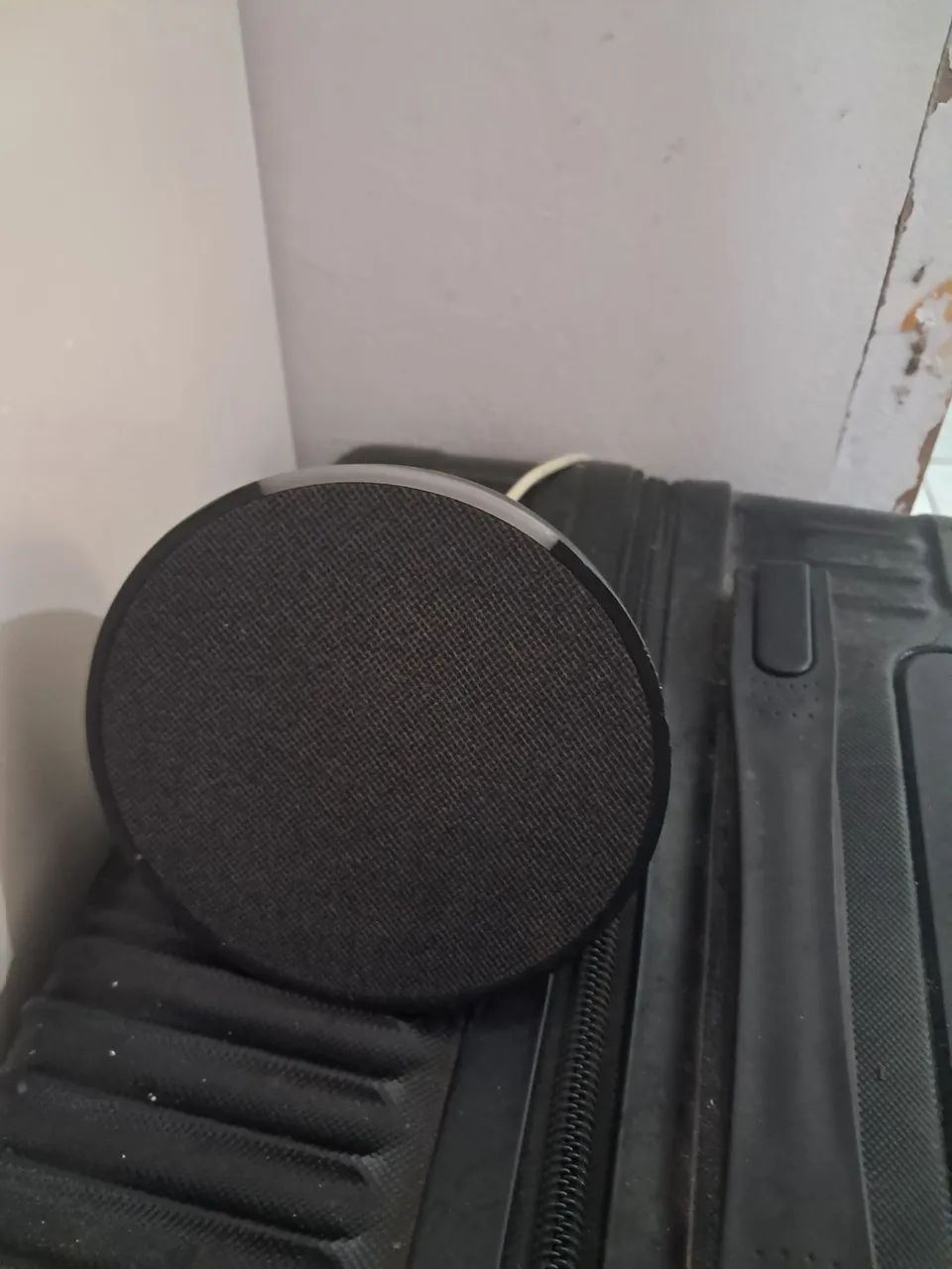 Echo Pop