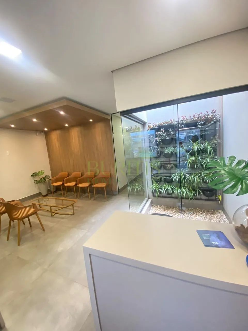 Sala para alugar em Rio Verde, Popular, com 9 m² - Foto 2