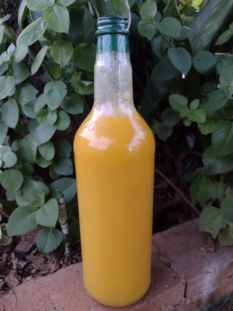 Manteiga de garrafa 