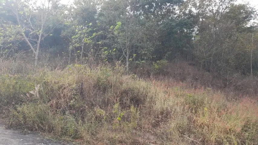 Tiradentes/Betim - Lote 600m² - Foto 5