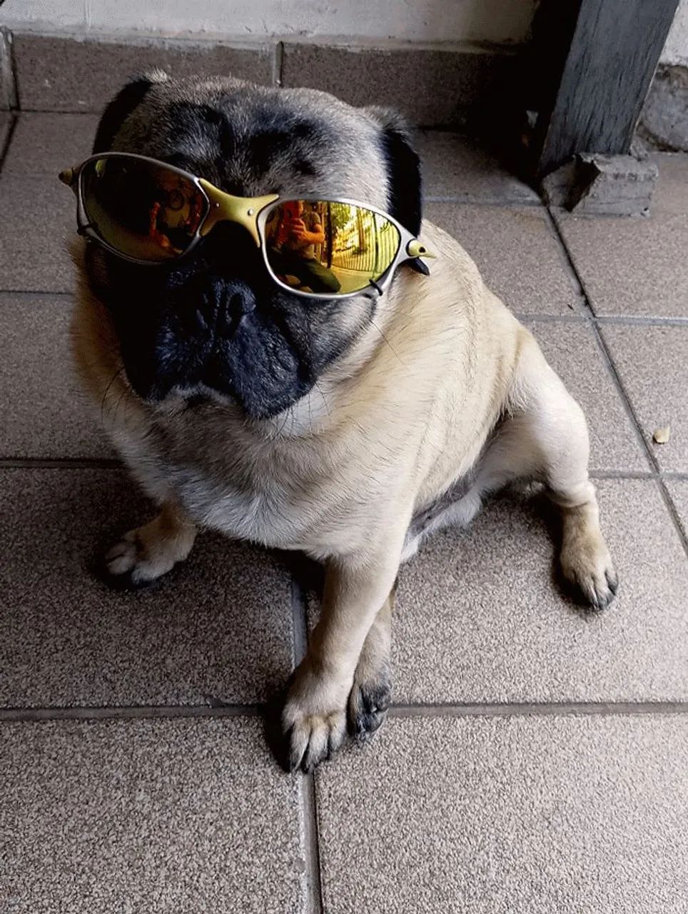 Óculos Oakley masculino  - Foto 4