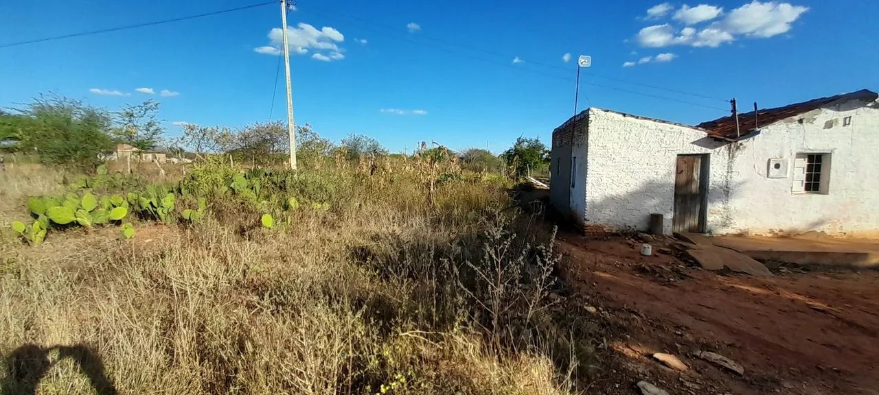 Pequena chácara rural  - Foto 4