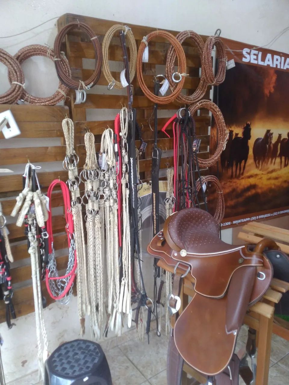 Selas e artigos de montaria - Foto 5