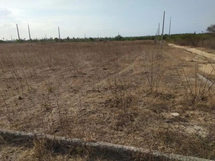 Terreno Loteamento em Presidente Costa e Silva - Mossoró - Foto 3