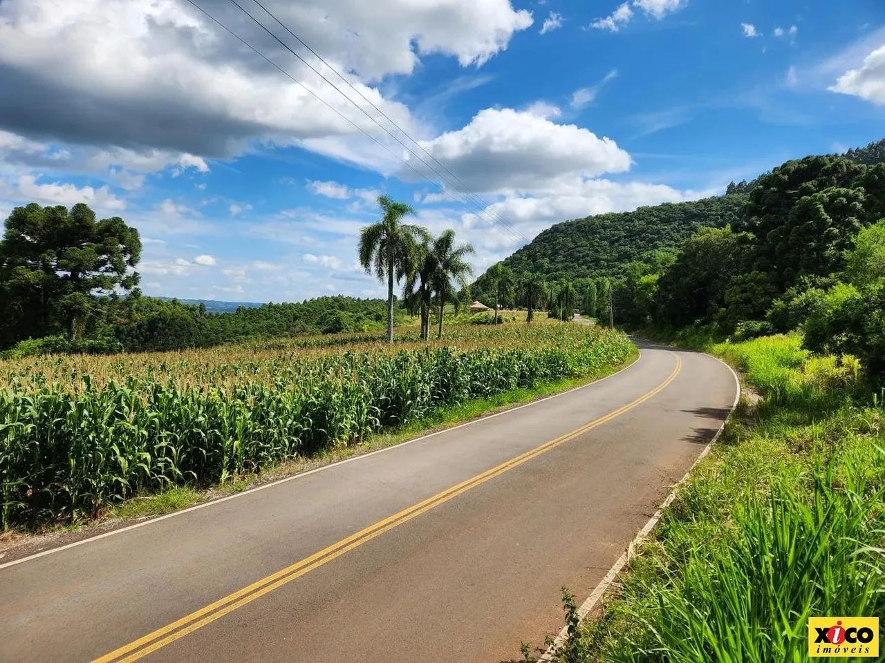 Sítio / Chácara para Venda em Nova Petrópolis, Nove Colonias - Foto 4