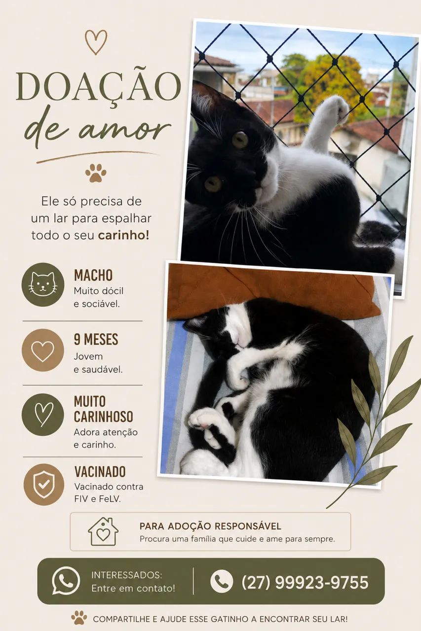 Adoção responsável 