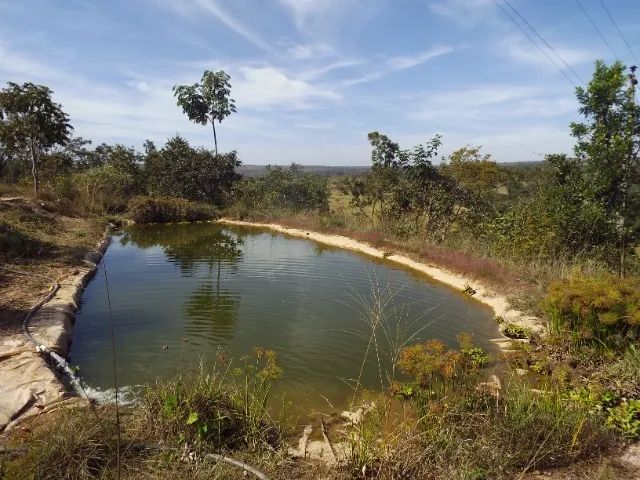 Fazenda Small Cactus - Foto 2