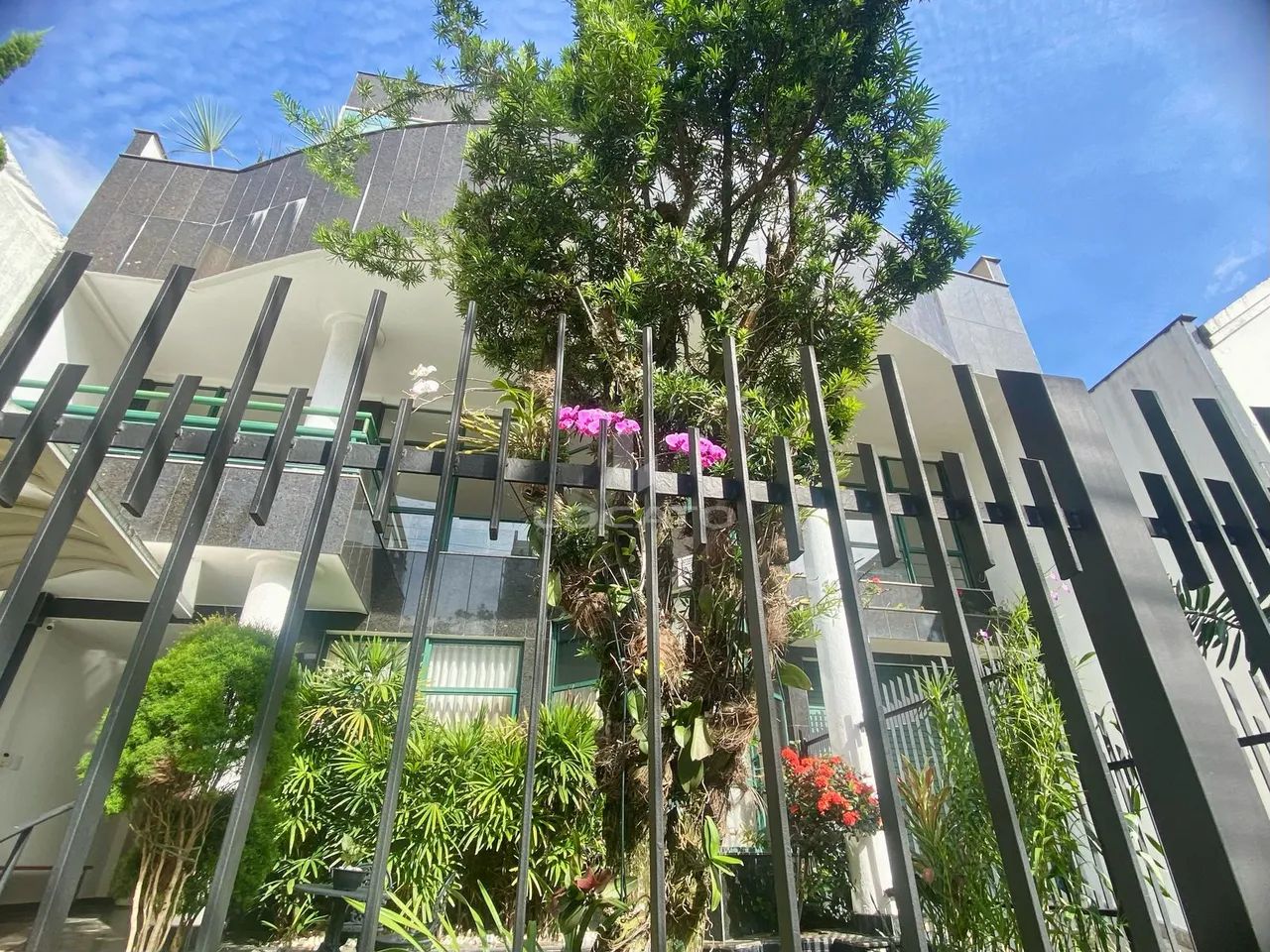 Prédio Alto dos Passos, comercial ou residencial - Foto 3