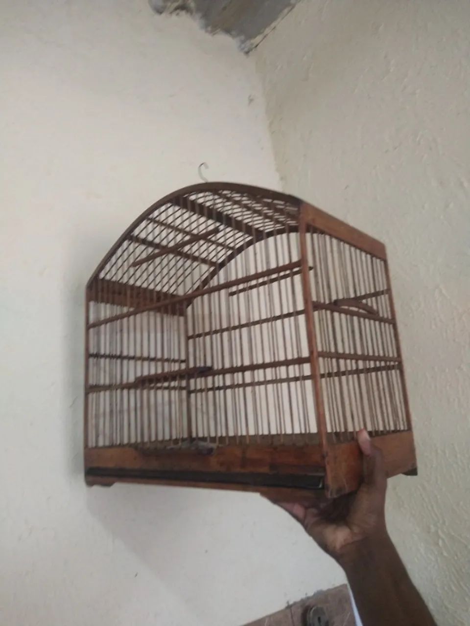 Gaiola de trinca ferro 