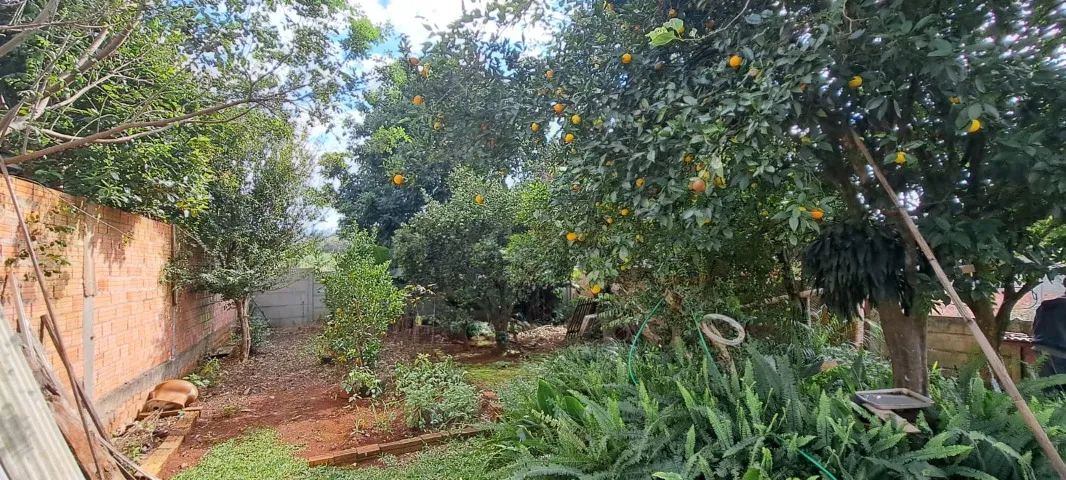 Casa com Terreno em Ponta Grossa bairro Chapada - Foto 5
