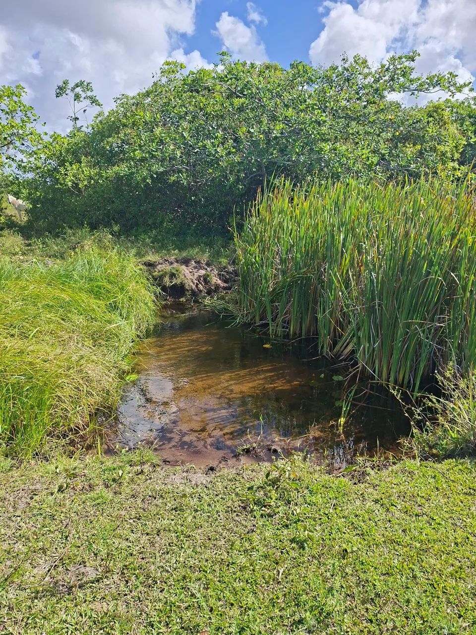 Terreno em Lucena - Foto 2