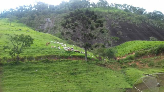 Fazenda Bom Jardim - Foto 8