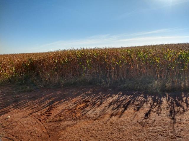 Fazenda Agrícola. 105 Alq. em Montividiu-GO - Foto 3