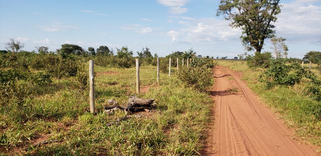Fazenda 785 ha Pecuária R$ 9.420 milhões 67 km Campo Grande MS - Foto 4