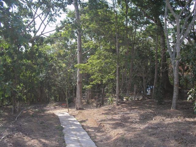 Sítio em Saquarema 36mil m2 Casa com 4 quartos - Foto 7