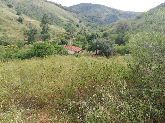 Fazenda com 127 hectares em Baixo Guandu - Foto 8