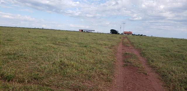Fazenda 785 ha Pecuária R$ 9.420 milhões 67 km Campo Grande MS