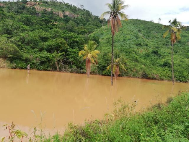 Fazenda com 127 hectares em Baixo Guandu - Foto 3