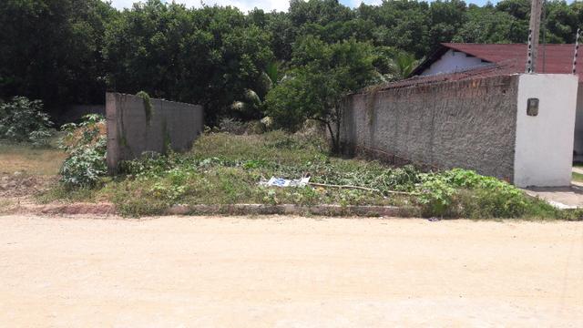Litoral Norte - Barra de Santo Antônio - Ilha da Croa - Em Rua Pavimentada - Foto 8