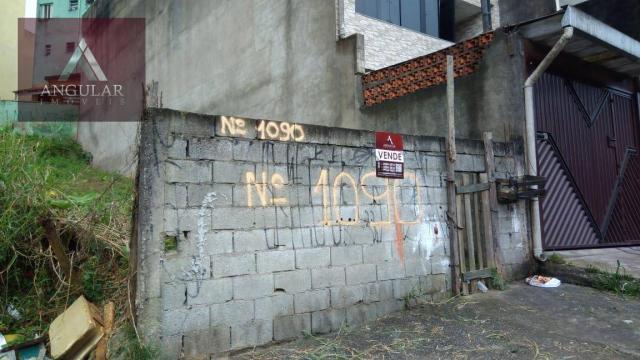 Terreno à venda, 125 m² por r$ 160.000 - jardim irene - santo andré/sp