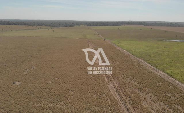 Fazenda à venda, 1134 hectares por R$ 24.000.000,00 - Novo Mundo/MT - Foto 5
