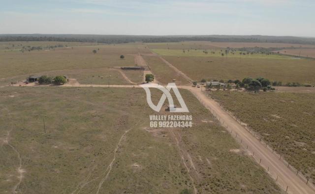 Fazenda à venda, 1134 hectares por R$ 24.000.000,00 - Novo Mundo/MT - Foto 3