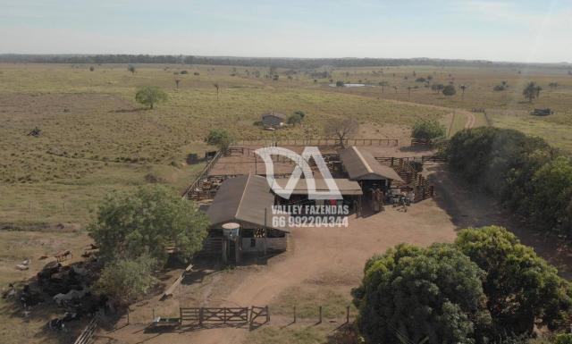 Fazenda à venda, 1134 hectares por R$ 24.000.000,00 - Novo Mundo/MT - Foto 11
